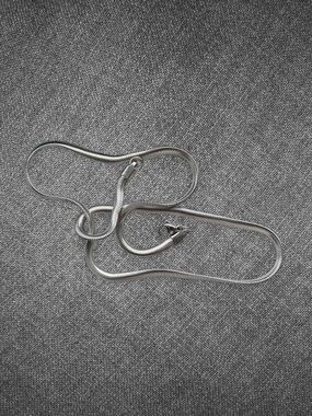 Stainless Steel Snake Chain Necklace - Unisex